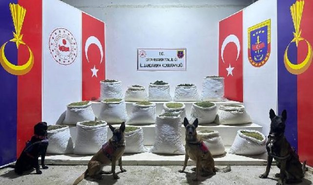 Diyarbakır'da 864 kilogram esrar ve 2 milyon kök Hint keneviri ele geçirildi