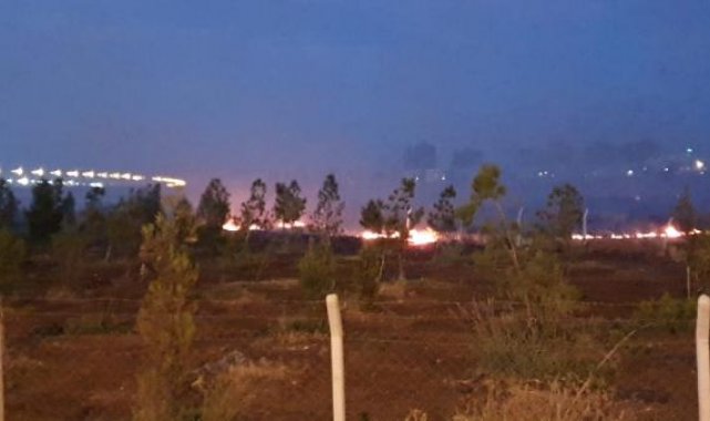 Diyarbakır'da Şehir Ormanı bitişiğinde yangın; itfaiye önce su sonra kürekle müdahale