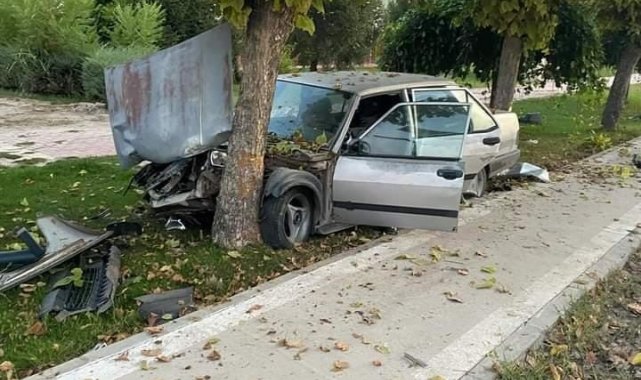 Elazığ'da otomobil ağaca çarptı: 1 yaralı