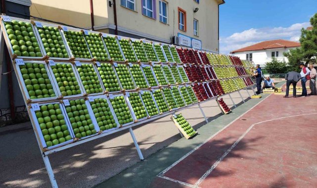 En güzel elma ve armutlar görücüye çıktı
