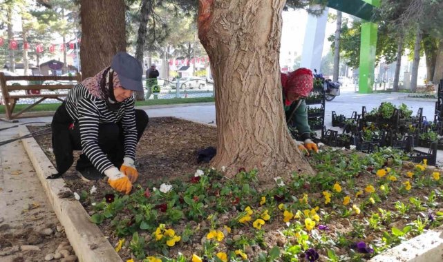 Ereğli Belediyesi çevre düzenleme çalışmalarını sürdürüyor
