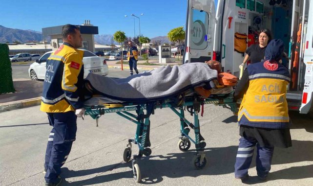 Erzincan'da ayı saldırısı