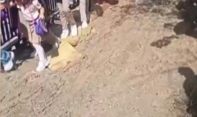 Esenyurt'ta survivor parkuru gibi okul yolu