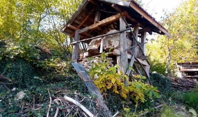 Evin bahçesine kadar gelen ayı, 40 kovan arıya zarar verdi