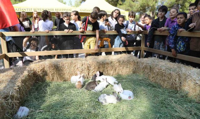 Gaziantep Büyükşehir, Dünya Hayvanları Koruma Günü'nde farkındalığa dikkat çekti