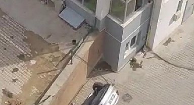 Geri yerine ileri vitese aldığı otomobiliyle otoparka düştü