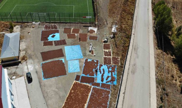 Giresun'da bu ilçede fındık yetiştirilmiyor ama kurutuluyor