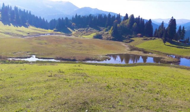 Gölyanı Obası'nın kurumaması için su bağlandı