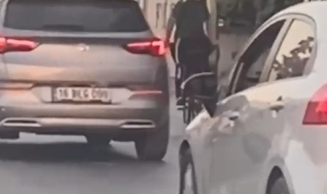 Gören şaşkına döndü...