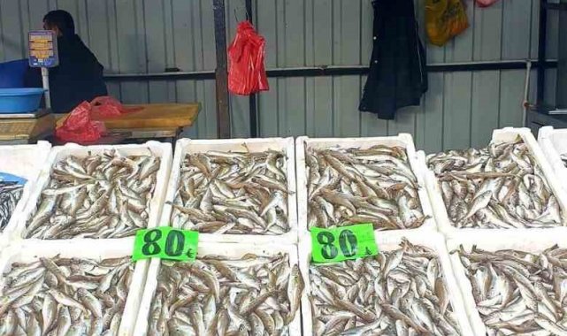 Hamsi ve mezgit tezgahlarda 80 liradan alıcı buluyor