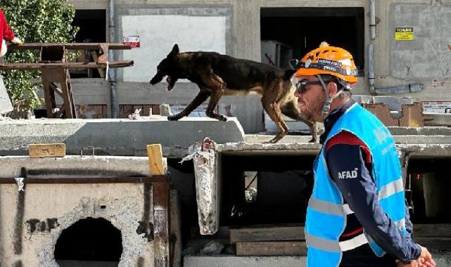Hassas burunlara zorlu sınavla sertifika