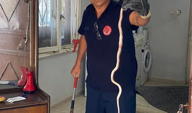 Hatay'da bir eve yılan girdi