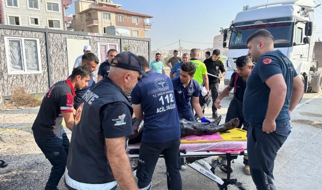 Hatay'da kamyonun hidrolik sistemi patladı: 1 kişi yaralandı