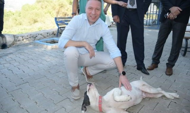 Hayvan hakları için Milas Kaymakamı Böke sahada