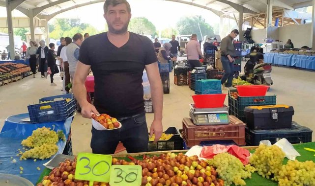 Hisarcık'ta fiyatı 30 TL'ye düşen şifa deposu hünnapa rağbet arttı