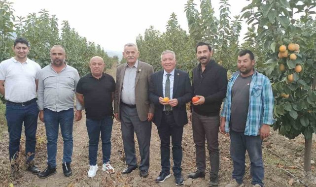 Honaz'da cennet hurması üreticileri nefes alacak