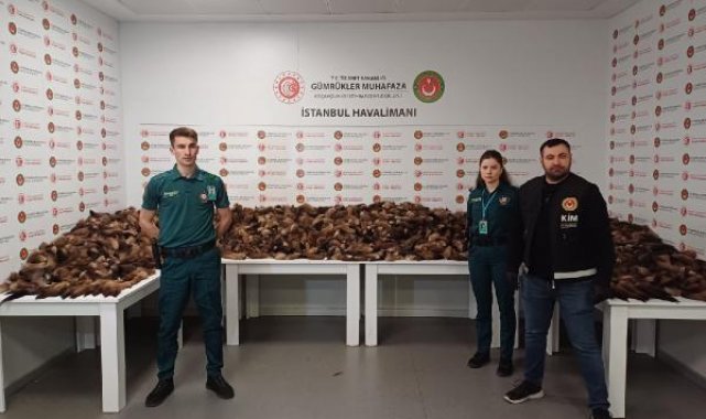 İstanbul Havalimanı'nda 10 bin 300 adet tilki kuyruğu ele geçirildi
