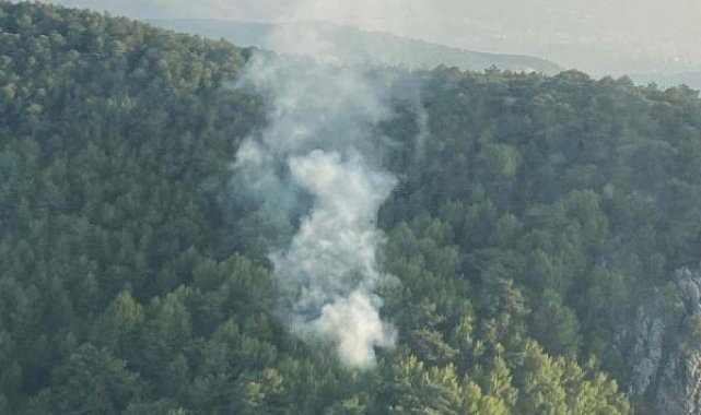 İzmir'de orman yangını 1 saatte kontrol altına alındı