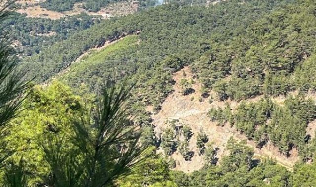 İzmir'de orman yangını