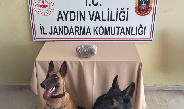 Jandarmanın hassas burunları uyuşturucuya geçit vermedi