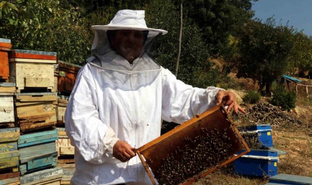 Kadın girişimci devletten önce eğitim, sonra da kredi alarak arıcılığa başladı