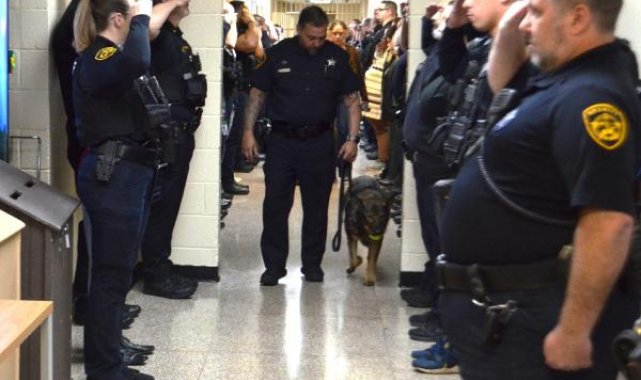 Kanser hastası K9 köpeği, polislerin selamlama kıtasıyla uğurlandı