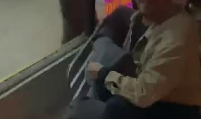 Karabük'te yavru ayı iş merkezine girip, sokaklarda koştu; görenler kaçtı