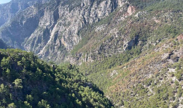 Karanlıkdere Kanyonu'nda çıkan yangın kontrol altına alındı