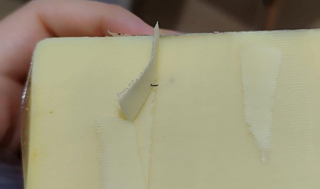 Kaşar peynirinin içinden çıkan siyah cisim karşısında hayrete uğradı