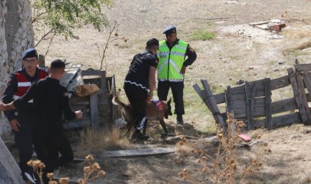 Kayıp olarak aranıyordu, 25 gün sonra parçalanmış cesedi bulundu
