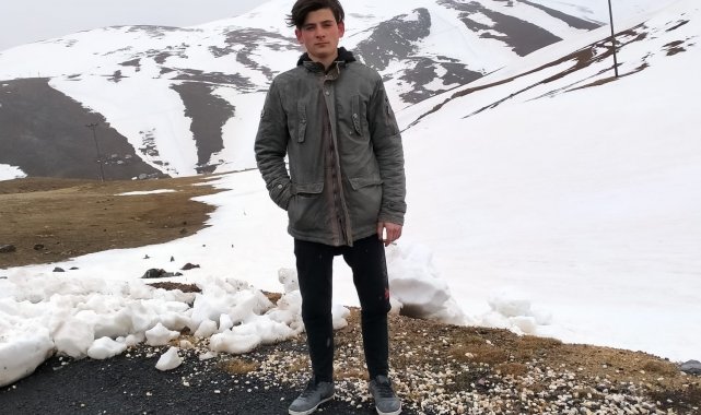 Kesilen ağacın üzerine devrilmesi sonucu hayatını kaybetti