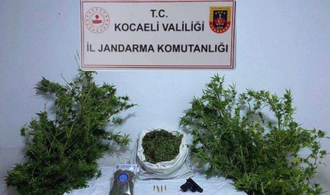 Kocaeli'de 3 ikamete uyuşturucu operasyonu
