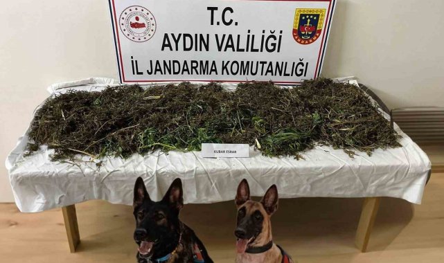 Koçarlı'da uyuşturucu operasyonu: 2 tutuklama