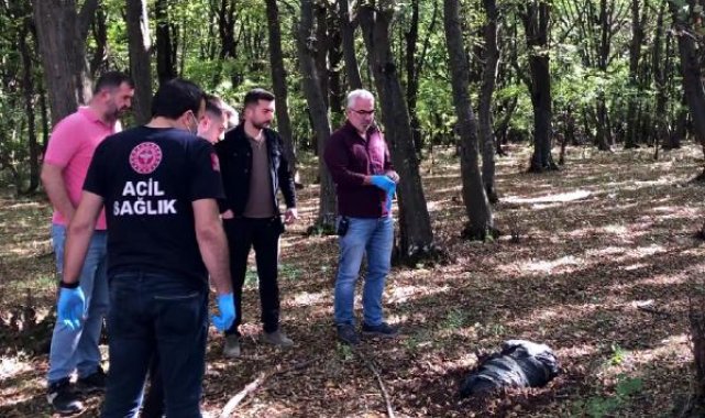 Koli bantlarıyla bağlanmış poşette ölü köpek bulundu