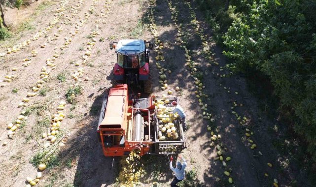 Konya'da kabak çekirdeği eleme tesisi üreticiye kolaylık sağlıyor