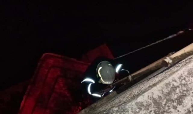 Köprü ayağında mahsur kalan kediye halatlı kurtarma