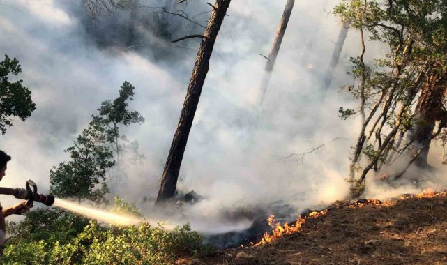 Köyceğiz Otmanlar'da dört gün içinde ikinci orman yangını