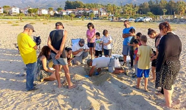 Kuşadası ve Didim'de carreta caretta yavruları denizle buluşturuldu