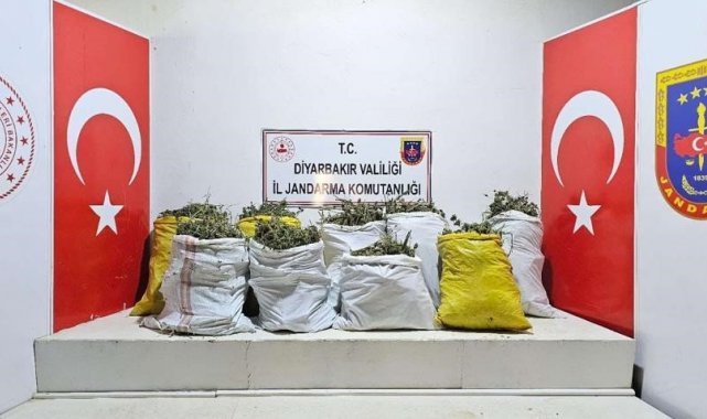 Lice'de uyuşturucu operasyonu