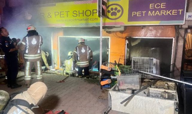 Maltepe'de petshopta yangın çıktı