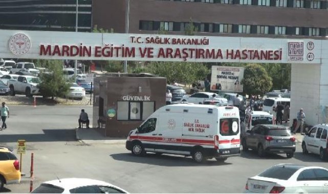 Mardin'de TIR'la önünü kestiği otomobildeki husumetlisini öldürdü