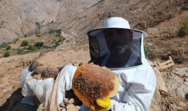 Mereto Dağı eteklerinde ürettiği balın kilosunu 2 bin 500 liradan satıyor