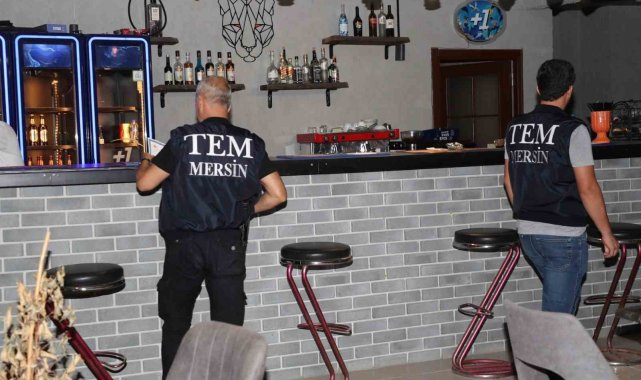 Mersin'de umuma açık 10 eğlence merkezine eş zamanlı denetim