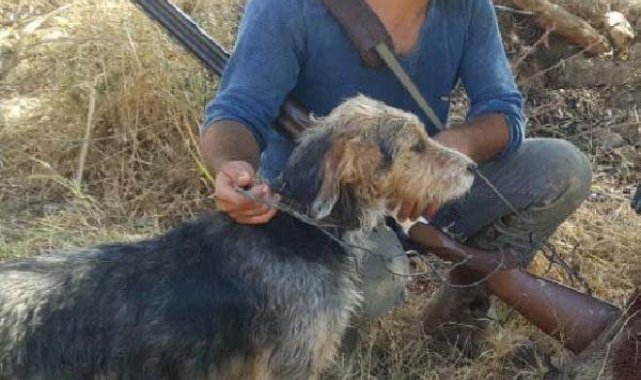 Motosikleti devrilen avcı, tüfeğinin ateş almasıyla öldü