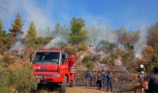 Muğla'da makilik yangını