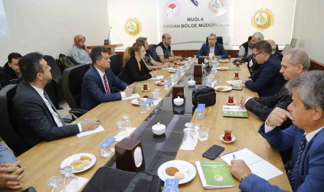 Muğla'da "İklime Dayanıklı Ormancılık Projesi" bilgilendirme toplantısı yapıldı