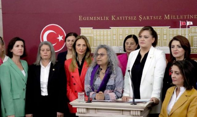 Muhalefet partili kadın vekillerden 'kadına karşı şiddetle mücadele' için ortak basın toplantısı