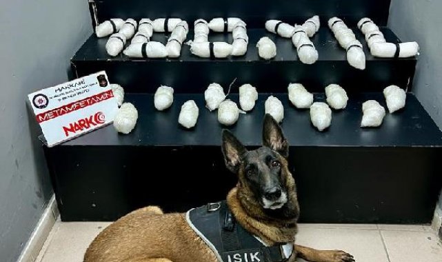 Narkotik köpeği 'Işık' ile aramada 14 kilo 620 gram uyuşturucu ele geçirildi; yabancı uyruklu 3 kişi gözaltında