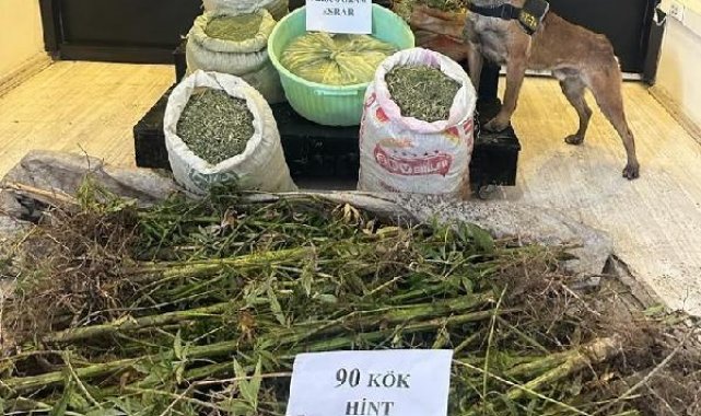 Narkotik köpeği Rüzgar'ın da katıldığı operasyonda 72 kilo esrar ele geçirildi; 1 gözaltı