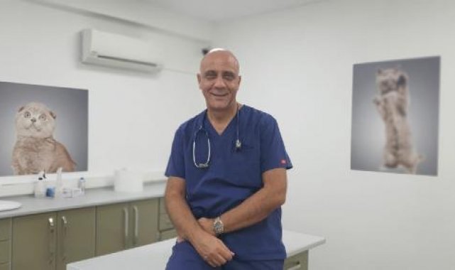 Obezite ve kanserdeki artış, insanlar kadar hayvanları da etkiliyor